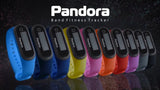 Pandora Band