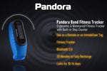 Pandora Band
